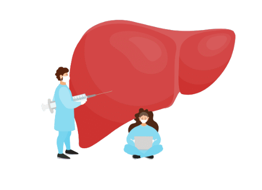 Liver graphic - Non-Alcoholic Fatty Liver Disease